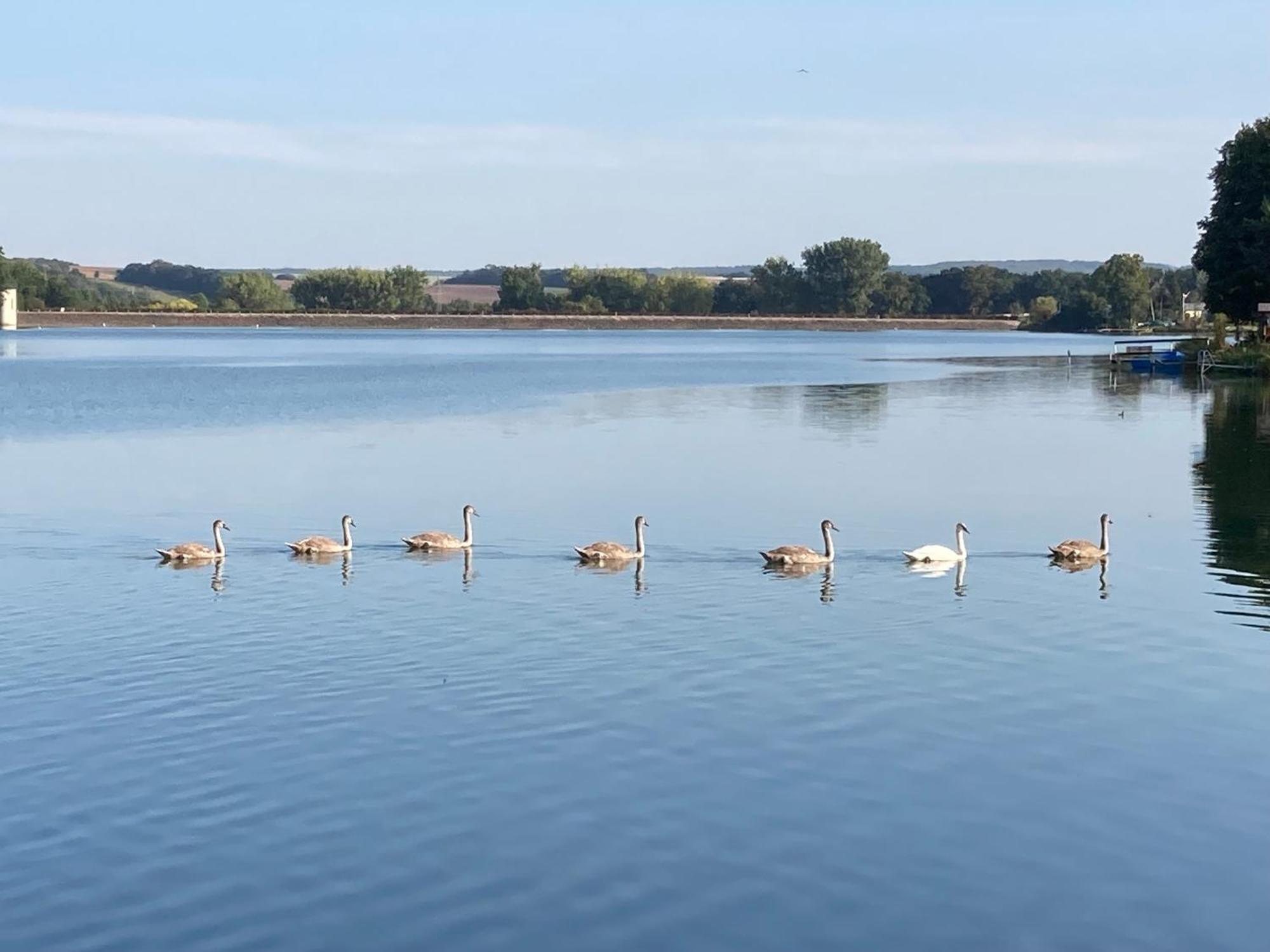 Campingfass Mit Panoramaterrasse Langenbernsdorf Kültér fotó